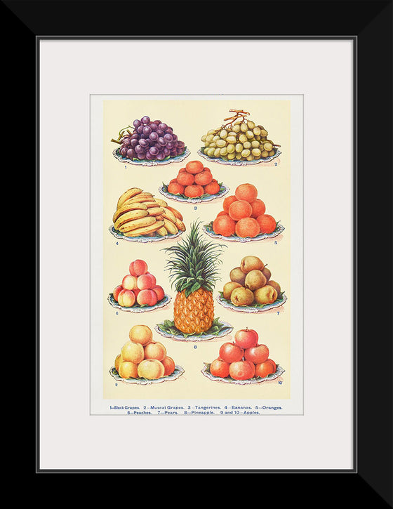 "Dessert Fruit From Mrs. Beetons Book of Household Management Part 2"