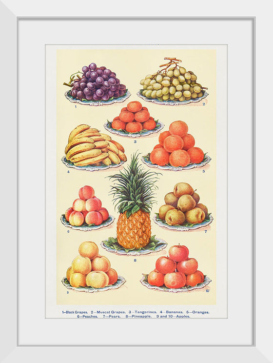 "Dessert Fruit From Mrs. Beetons Book of Household Management Part 2"