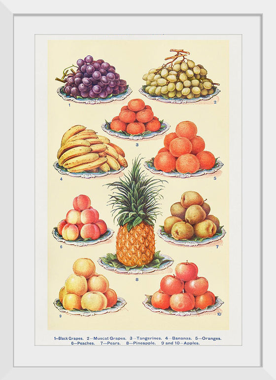 "Dessert Fruit From Mrs. Beetons Book of Household Management Part 2"