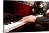 Immerse yourself in the elegant allure of this exquisite artwork, capturing the intimate moment of a pianist’s passionate performance on a Steinway piano. Every stroke of the keys and the graceful dance of fingers are rendered with meticulous detail, inviting viewers into a world where music and visual art intertwine. The rich, warm hues and delicate lighting evoke an atmosphere of sophistication and serenity.