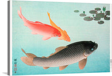  Experience the beauty of nature with Ohara Koson’s “Common and Golden Carp (1935)”. This print features two carp, one golden and one common, swimming in a pond with lily pads. The colors are vibrant and the composition is striking. The carp are detailed and realistic, with the golden carp being a bright orange and the common carp being a dark grey. 