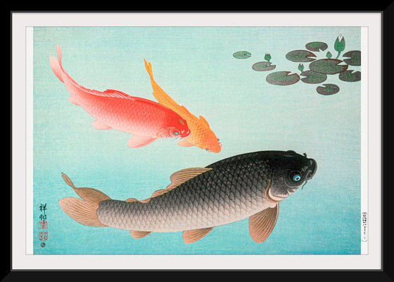 "Common and Golden Carp (1935)", Ohara Koson