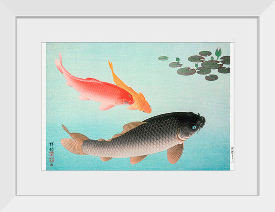 "Common and Golden Carp (1935)", Ohara Koson