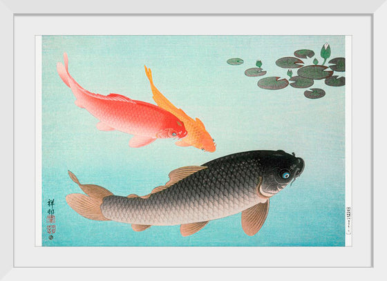 "Common and Golden Carp (1935)", Ohara Koson