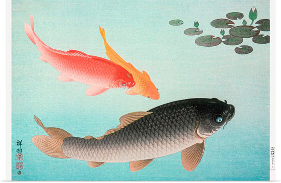 "Common and Golden Carp (1935)", Ohara Koson