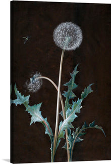  This artwork titled “Dandelion” by Barbara Regina Dietzsch is a beautiful watercolor and gouache painting on vellum that captures the essence of nature. The painting features a detailed illustration of a dandelion, with intricate details of the flower and its leaves.