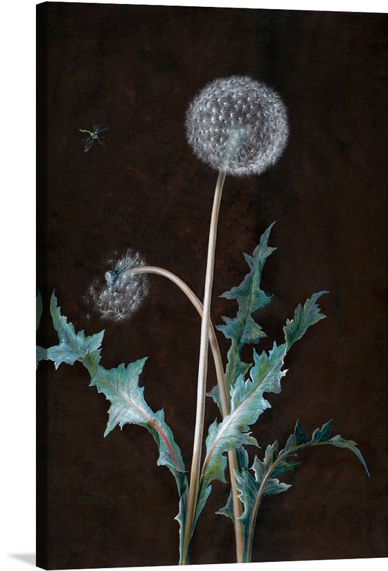 This artwork titled “Dandelion” by Barbara Regina Dietzsch is a beautiful watercolor and gouache painting on vellum that captures the essence of nature. The painting features a detailed illustration of a dandelion, with intricate details of the flower and its leaves.