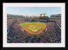 "Globe Life Park"