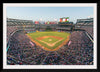 "Globe Life Park"