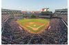 "Globe Life Park"