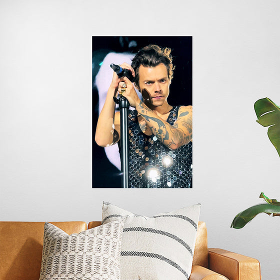 "Harry Styles Wembley June 2022 (cropped)", Lily Redman