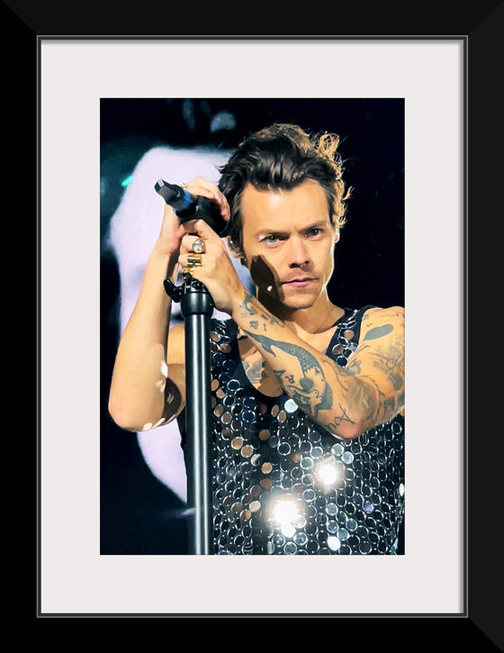 "Harry Styles Wembley June 2022 (cropped)", Lily Redman