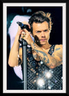 "Harry Styles Wembley June 2022 (cropped)", Lily Redman