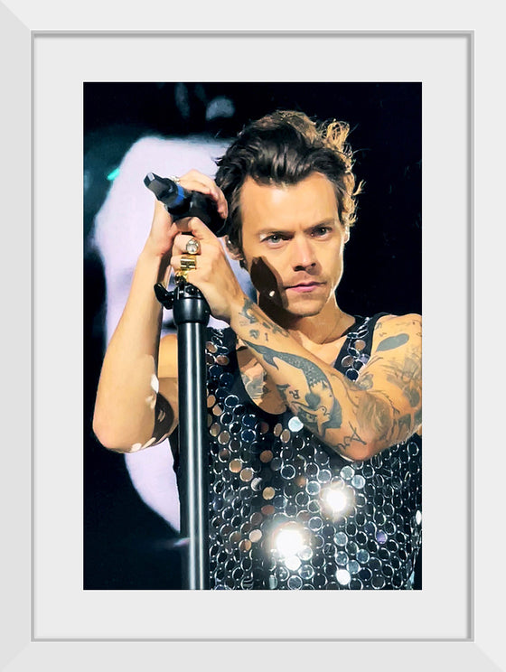 "Harry Styles Wembley June 2022 (cropped)", Lily Redman