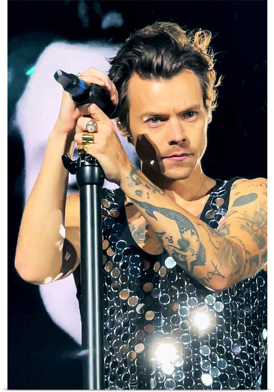 "Harry Styles Wembley June 2022 (cropped)", Lily Redman