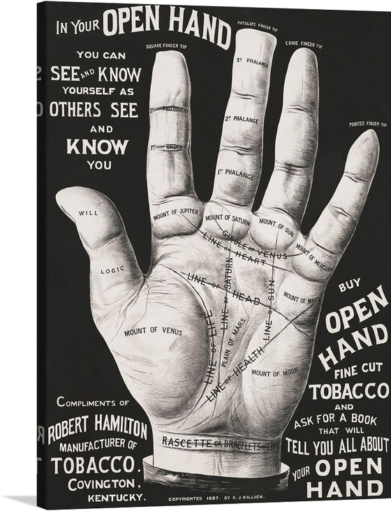 Step into the world of mysticism with this captivating print, “Open Hand, Palm Reading.” This monochromatic masterpiece, meticulously detailed, offers a unique blend of art and insight. It’s not just a visual treat, but also a guide to self-discovery. The intricate mapping of lines and mounts on the hand, labeled with terms like “Line of Head” and “Mount of Venus,” invites you on a journey of introspection. 