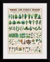 "School and Family Charts, No. XIX. Botanical: Forms of Leaves, Stems, Roots, and Flowers (1890)", Marcius Willson and Norman A. Calkins