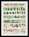 "School and Family Charts, No. XIX. Botanical: Forms of Leaves, Stems, Roots, and Flowers (1890)", Marcius Willson and Norman A. Calkins