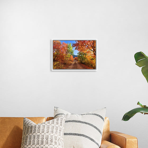 "Fall Colors Down a Dirt Road in the Cub River Area"