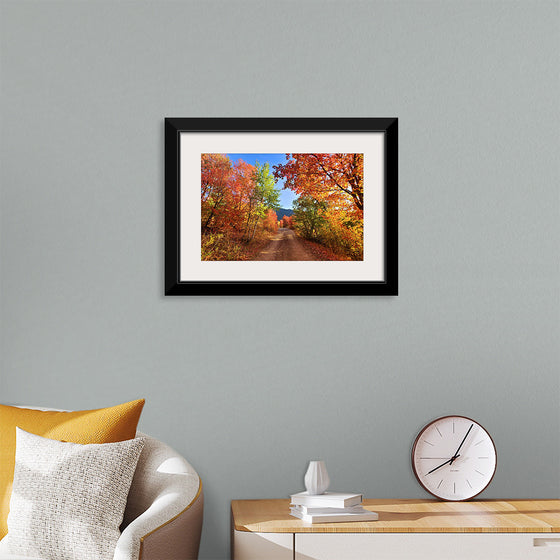 "Fall Colors Down a Dirt Road in the Cub River Area"