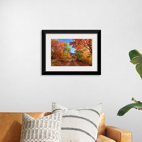 "Fall Colors Down a Dirt Road in the Cub River Area"