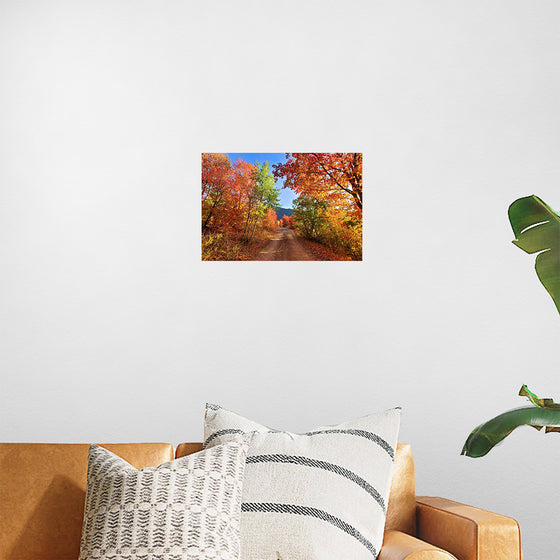 "Fall Colors Down a Dirt Road in the Cub River Area"