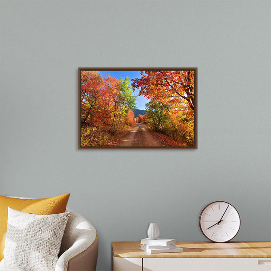 "Fall Colors Down a Dirt Road in the Cub River Area"