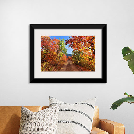 "Fall Colors Down a Dirt Road in the Cub River Area"