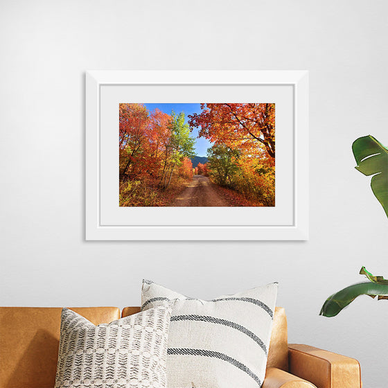 "Fall Colors Down a Dirt Road in the Cub River Area"