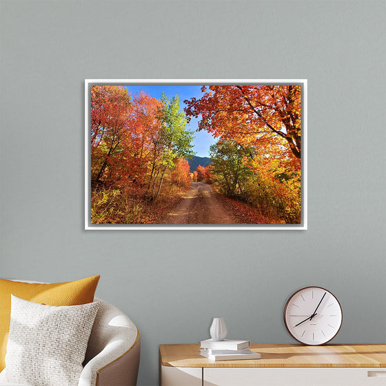 "Fall Colors Down a Dirt Road in the Cub River Area"