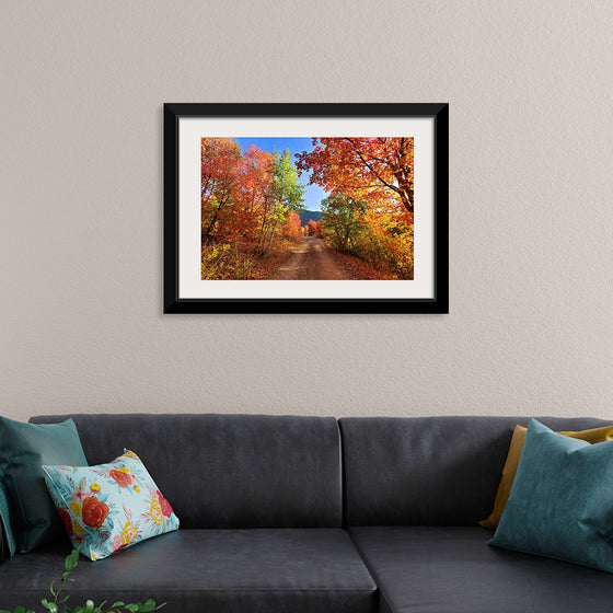 "Fall Colors Down a Dirt Road in the Cub River Area"