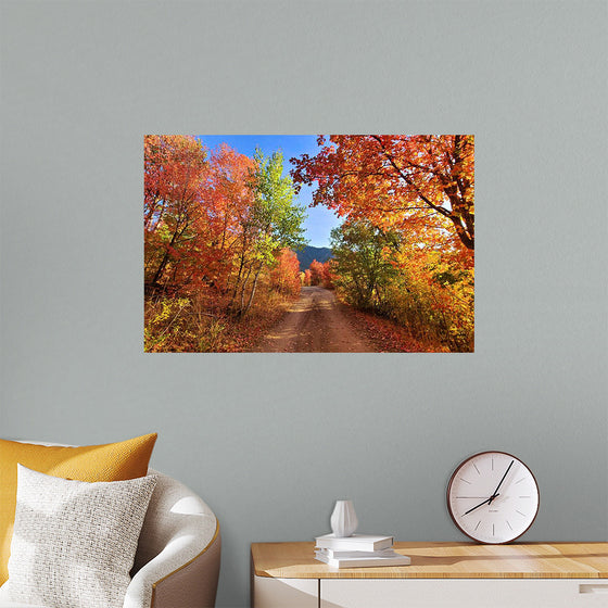 "Fall Colors Down a Dirt Road in the Cub River Area"