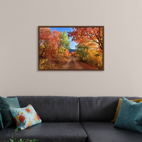 "Fall Colors Down a Dirt Road in the Cub River Area"