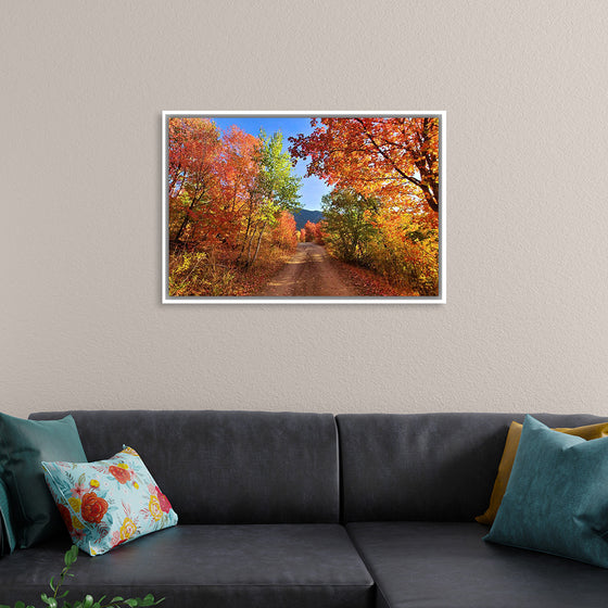 "Fall Colors Down a Dirt Road in the Cub River Area"