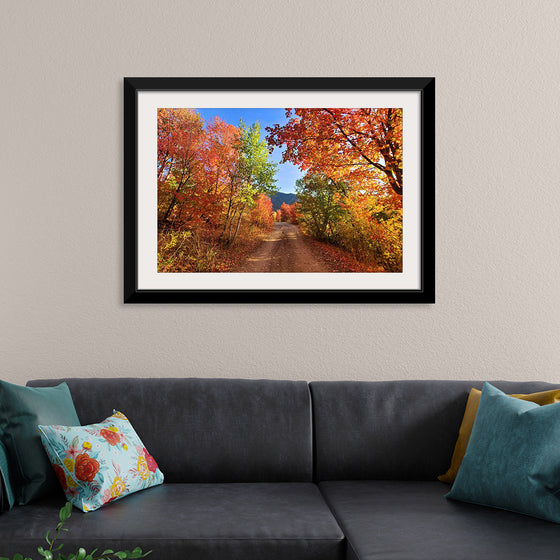 "Fall Colors Down a Dirt Road in the Cub River Area"