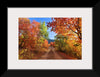 "Fall Colors Down a Dirt Road in the Cub River Area"