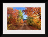 "Fall Colors Down a Dirt Road in the Cub River Area"