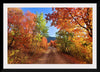 "Fall Colors Down a Dirt Road in the Cub River Area"