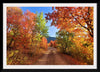 "Fall Colors Down a Dirt Road in the Cub River Area"