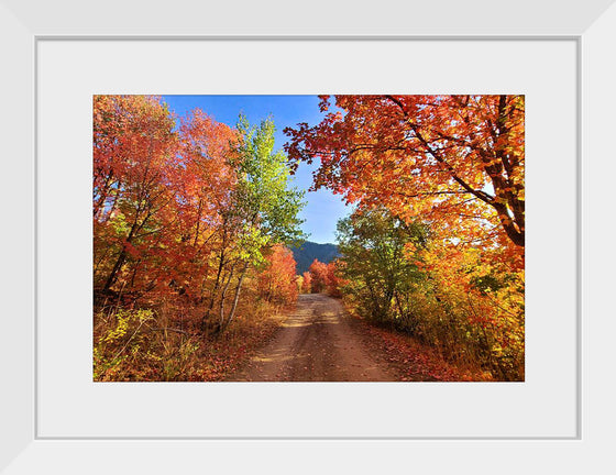 "Fall Colors Down a Dirt Road in the Cub River Area"