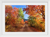 "Fall Colors Down a Dirt Road in the Cub River Area"