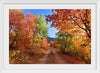 "Fall Colors Down a Dirt Road in the Cub River Area"