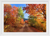 "Fall Colors Down a Dirt Road in the Cub River Area"