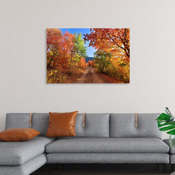 "Fall Colors Down a Dirt Road in the Cub River Area"