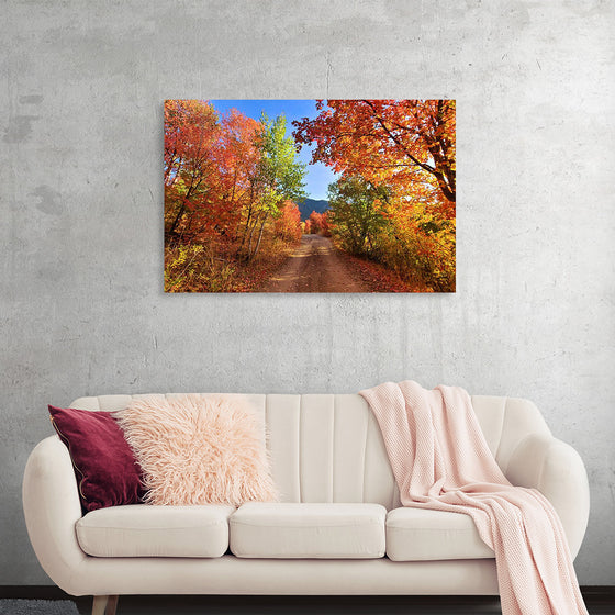 "Fall Colors Down a Dirt Road in the Cub River Area"