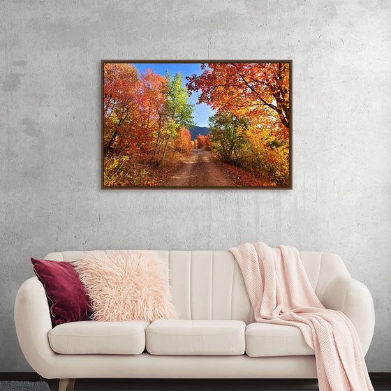 "Fall Colors Down a Dirt Road in the Cub River Area"