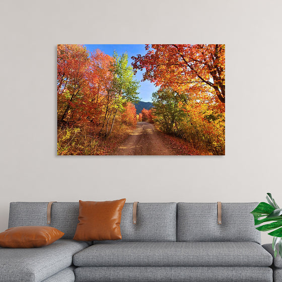 "Fall Colors Down a Dirt Road in the Cub River Area"