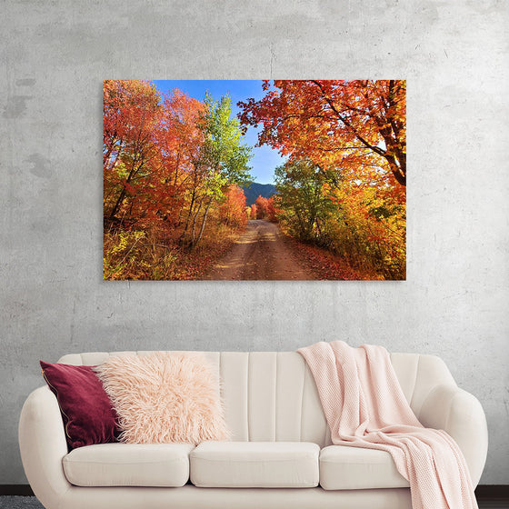 "Fall Colors Down a Dirt Road in the Cub River Area"