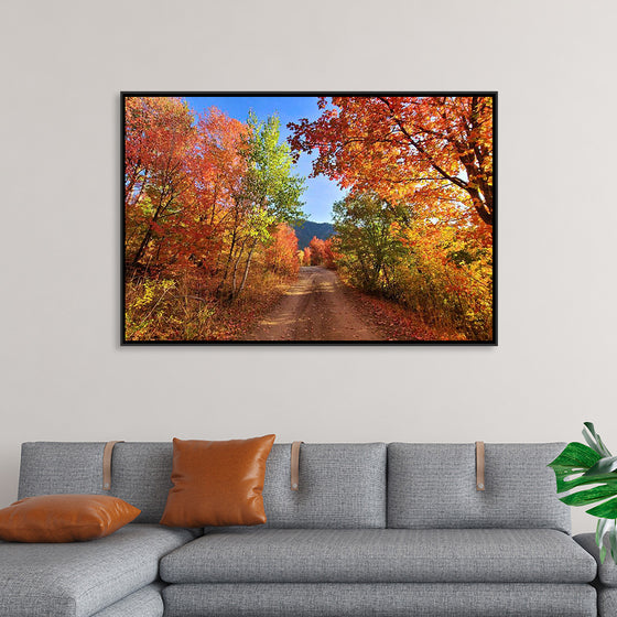 "Fall Colors Down a Dirt Road in the Cub River Area"