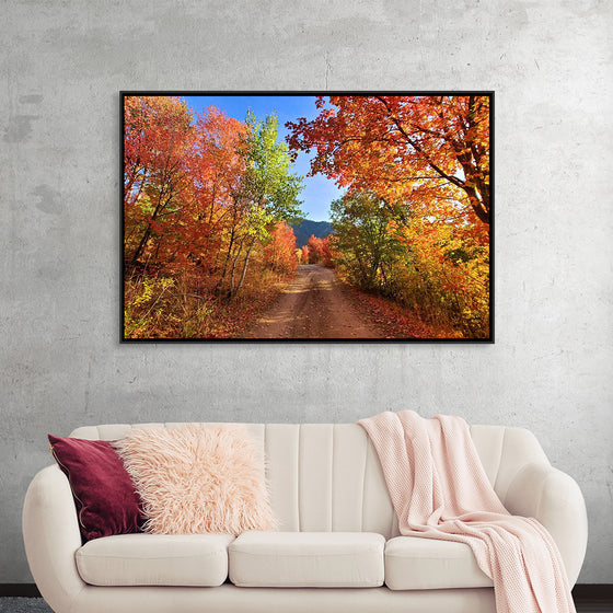 "Fall Colors Down a Dirt Road in the Cub River Area"